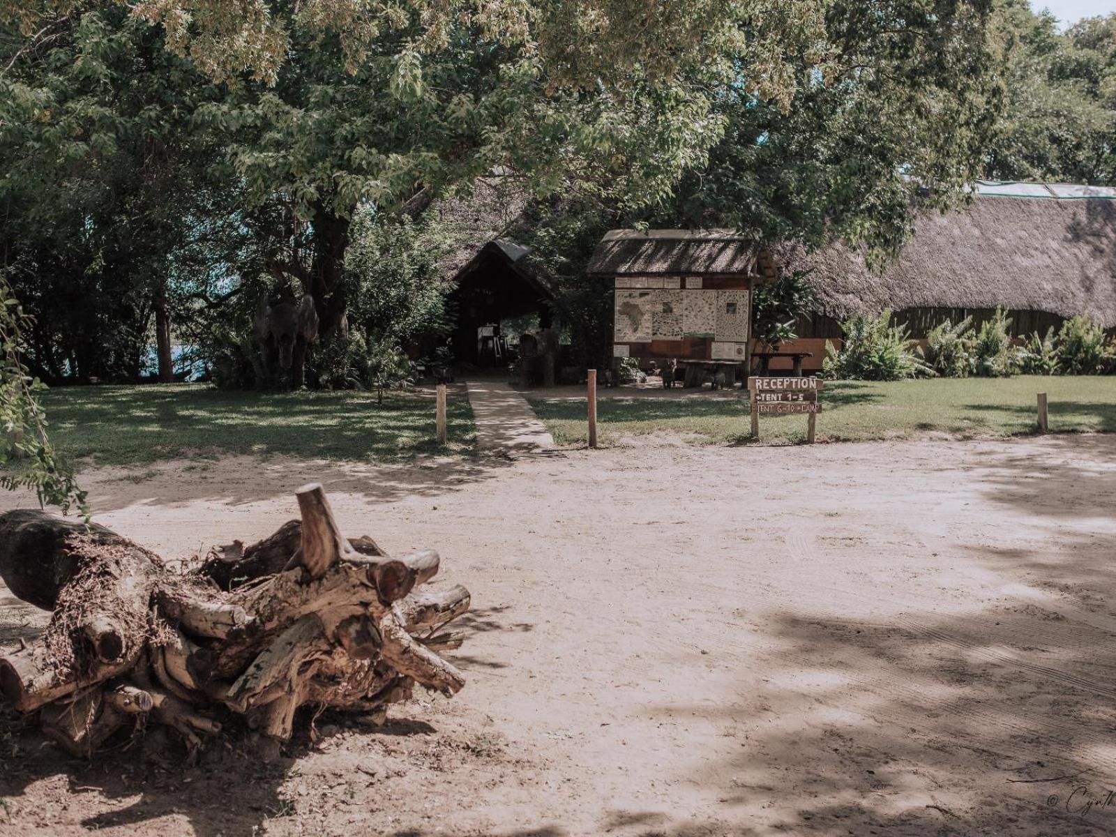 Ndhovu Safari Lodge Mahango 외부 사진